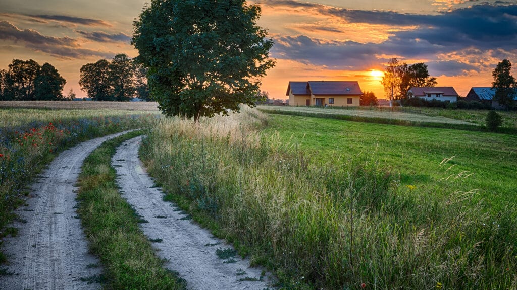 Summer landscape of a farm house