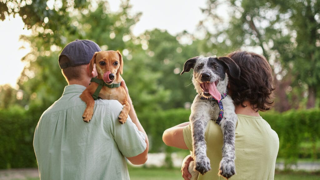 Home-owner carrying pets